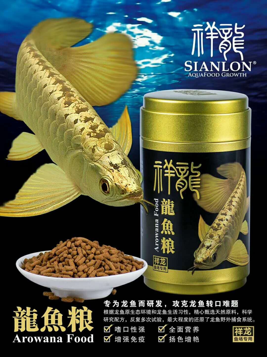 Lumbini Golden dragon fish food