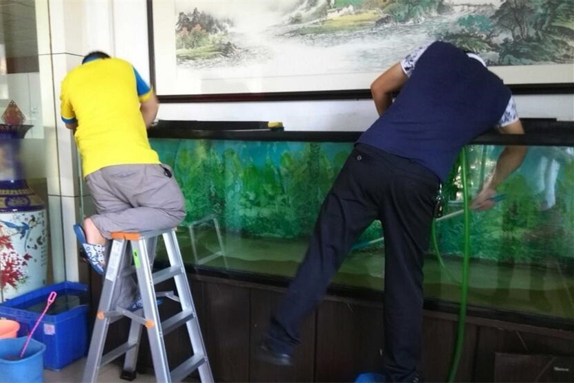 Lumbini Fish tank cleaning and maintenance